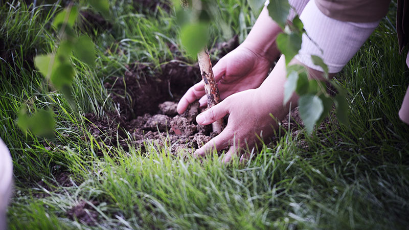 Terra e Crianças: Uma combinação perfeita