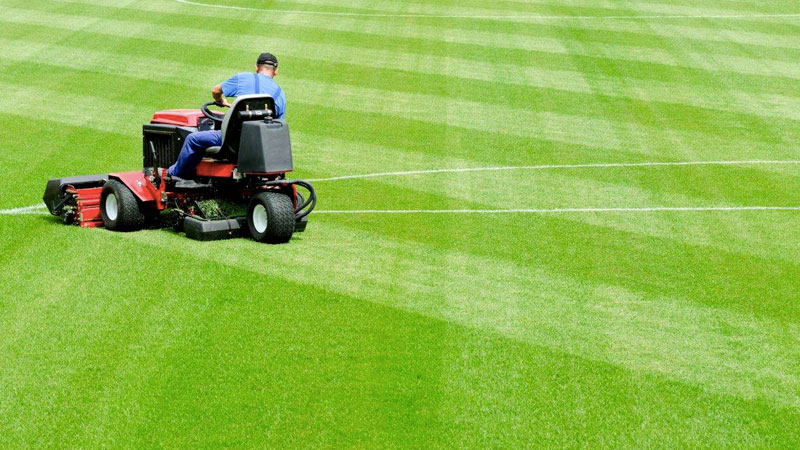 Grama Cuidados com gramado de campo de Futebol