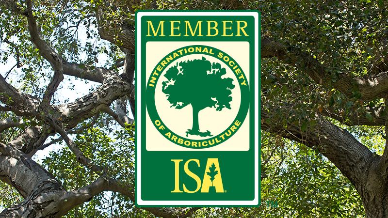ISA - Internacional Society of Arboriculture