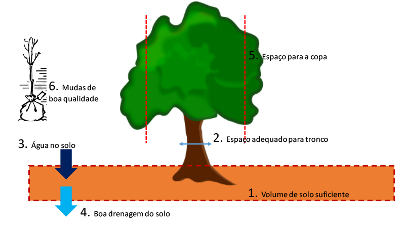 Volume de solo suficiente