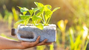 Reciclagem de resíduos orgânicos, você já ouviu falar?